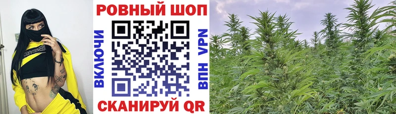Наркошоп купить Альфа ПВП  Кокаин  Меф  МАРИХУАНА  ГАШ  Балахна