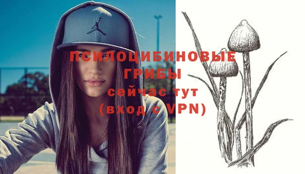 MESCALINE Инсар