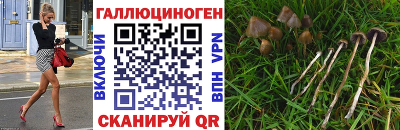 Псилоцибиновые грибы Cubensis  Купить закладки  Балахна 