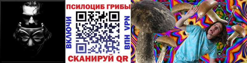 Псилоцибиновые грибы ЛСД Балахна